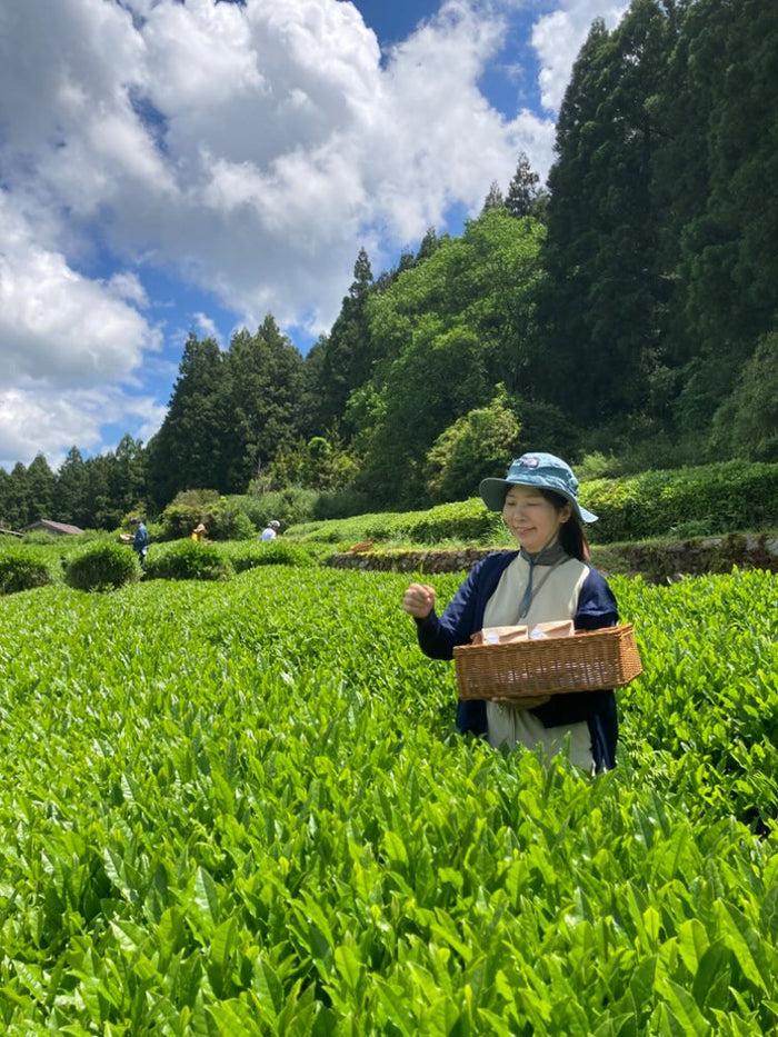 #0894.A1 Tsubame to Chabatake: Farm Direct Sencha from Nukata Village, Okazaki, Aichi