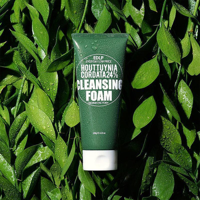 [DERMA FACTORY] EDLP Houttuynia Cordata 24% Cleansing Foam 120g - Ballagrio
