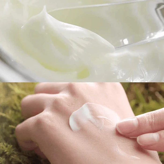 [Kim Jeong Moon Aloe] Cure Intensive Aloe Barrier Relief Cream 100g - Ballagrio