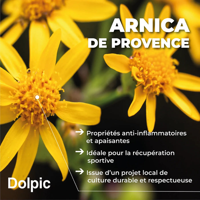 Massage oil - 100 ml - Dolpic Dolpic
