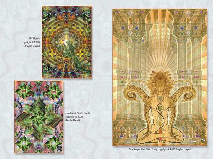 Psychedelic Buddhism by Lama Mike Crowley