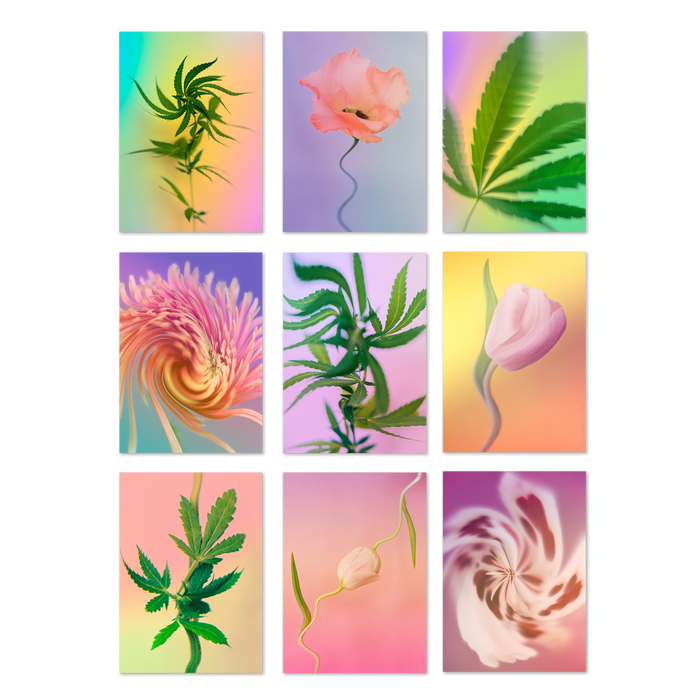 Psychedelic Fleurs Postcard Print Set