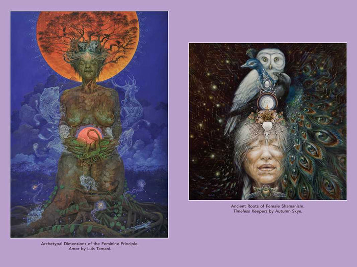 Psychedelic Mysteries of the Feminine by: Paperback; 368 pages / English