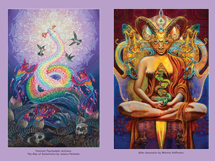 Psychedelic Mysteries of the Feminine by: Paperback; 368 pages / English