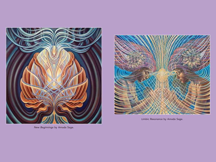 Psychedelic Mysteries of the Feminine by: Paperback; 368 pages / English