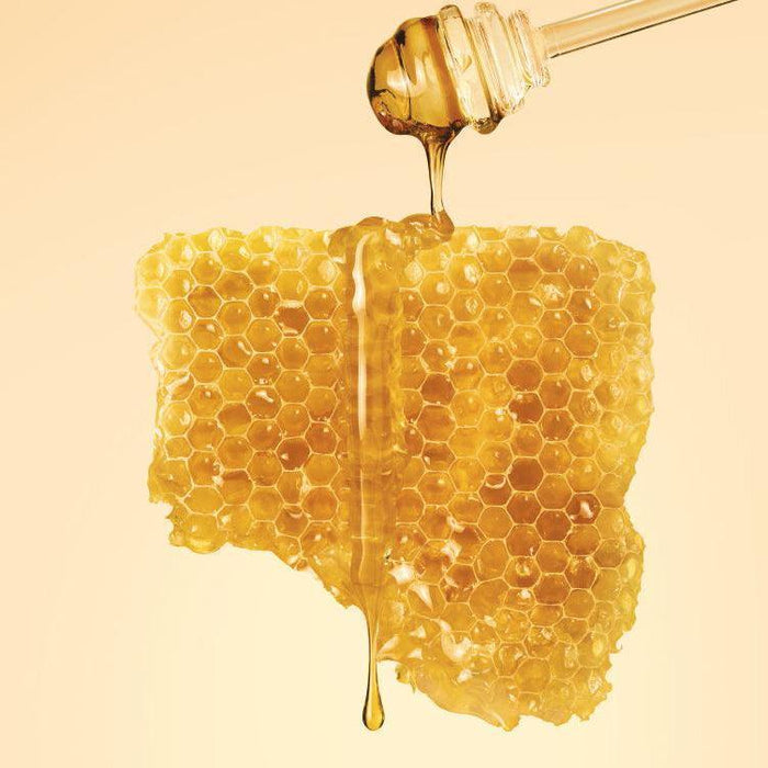 [SKINFOOD] Royal Honey Propolis Enrich Essence 50ml SKINFOOD