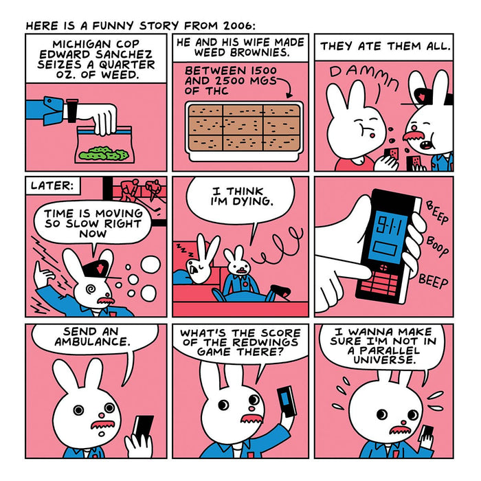 Wood Rocket Products - Are You Too High? Adult Storybook, STR-004
